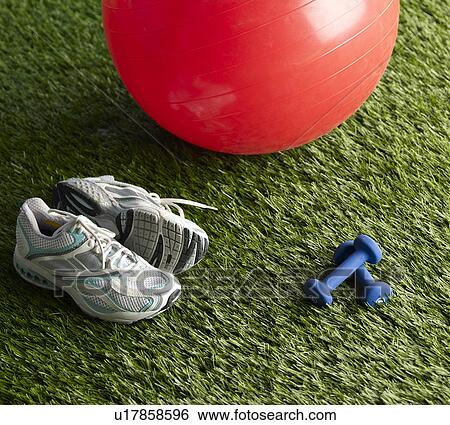 Sneakers and Dumbbells beside Exercise Ball View Large Photo Image Stock Photograph - Sneakers and Dumbbells beside Exercise Ball. Fotosearch