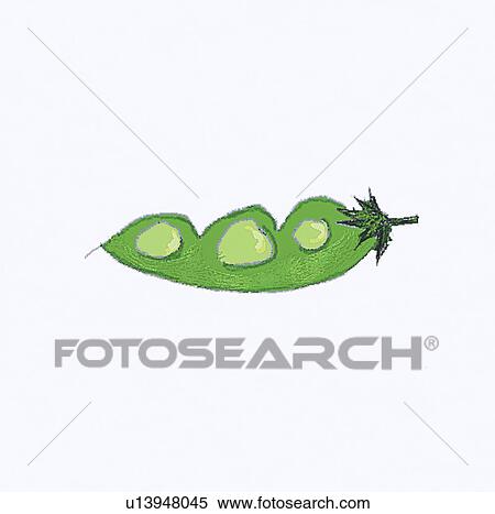 Stock Photography - String Beans. Fotosearch