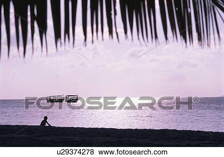 Sunset With A Coconut Tree View Large Photo Image Stock Photo - Sunset With A Coconut Tree. Fotosearch
