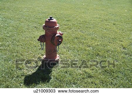 Stock Image - The Hydrant On A Lawn. Fotosearch