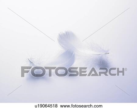 Wings View Large Photo Image Stock Photo - Wings. Fotosearch