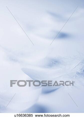 Wings View Large Photo Image Stock Photography - Wings. Fotosearch