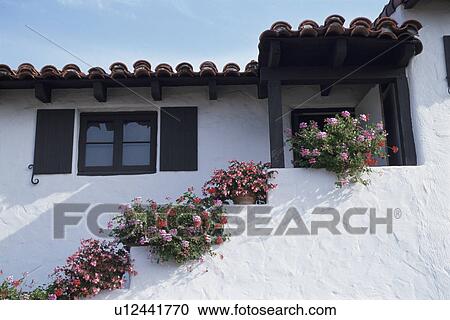 A Wall And A Flower View Large Photo Image Stock Image - A Wall And A Flower. Fotosearch
