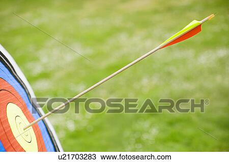 Arrow in bullseye of target (close-up) View Large Photo Image Stock Image - Arrow in bullseye of target (close-up). Fotosearch