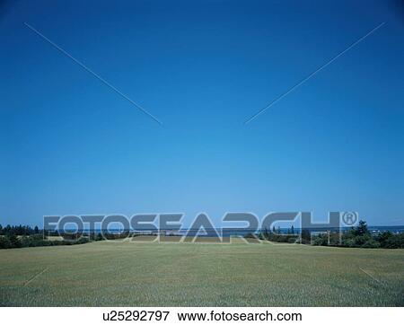 Blue Sky Above Field View Large Photo Image Stock Photo - Blue Sky Above Field. Fotosearch