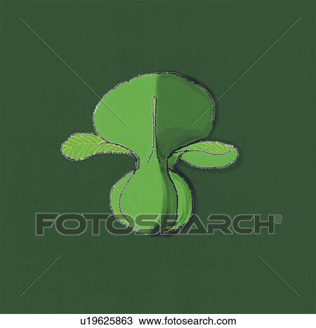 Bok Choy View Large Photo Image Stock Image - Bok Choy. Fotosearch