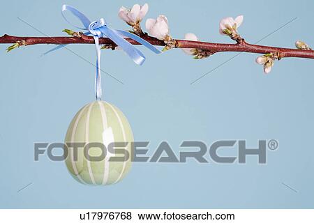 Ceramic Easter egg on Cherry blossom branch (close-up) View Large Photo Image Stock Photo - Ceramic Easter egg on Cherry blossom branch (close-up). Fotosearch