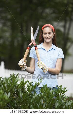 Gardener holding hedge clippers View Large Photo Image Stock Photo - Gardener holding hedge clippers. Fotosearch