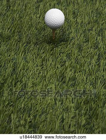 Golf Ball on Grass View Large Photo Image Stock Photo - Golf Ball on Grass. Fotosearch