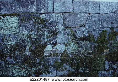 Mossy Stone Wall View Large Photo Image Stock Photo - Mossy Stone Wall. Fotosearch