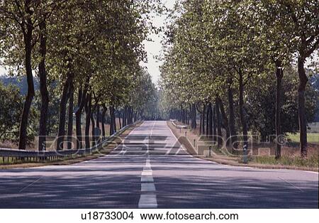 Picture - Road In Countryside. Fotosearch