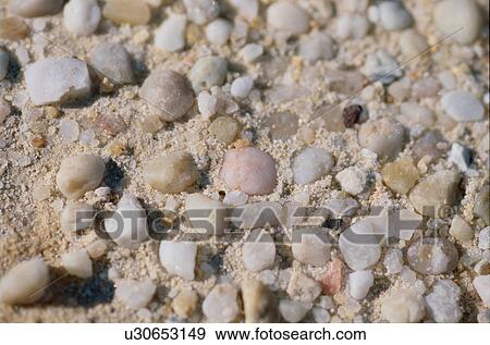 Sand With Stones View Large Photo Image Stock Photo - Sand With Stones. Fotosearch