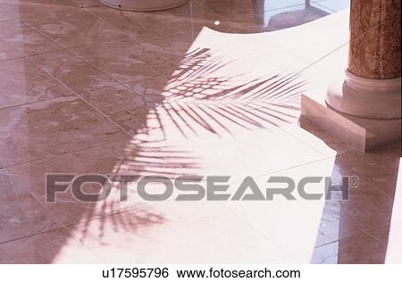 Shadows On Marble Floor View Large Photo Image Stock Photograph - Shadows On Marble Floor. Fotosearch