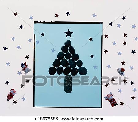 Stars And Slide Of Stone Tree View Large Photo Image Stock Photograph - Stars And Slide Of Stone Tree. Fotosearch