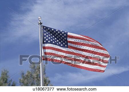 The American Flag And The Sky View Large Photo Image Stock Photo - The American Flag And The Sky. Fotosearch