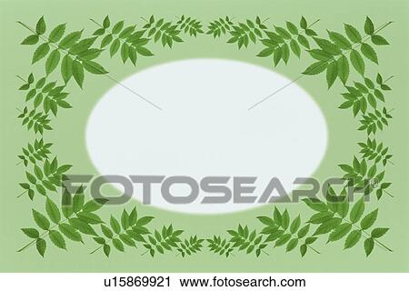 Stock Image - The Frame Of Green Leaves. Fotosearch