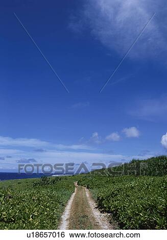 The Way Of The Beach View Large Photo Image Stock Photograph - The Way Of The Beach. Fotosearch