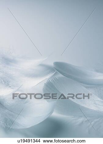 Wings View Large Photo Image Picture - Wings. Fotosearch