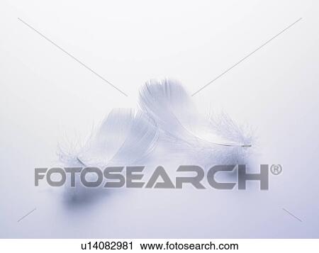 Stock Image - Wings. Fotosearch