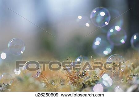 Stock Photo - A Bubble And Grass. Fotosearch