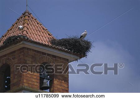 A Stork And A Bell View Large Photo Image Stock Photo - A Stork And A Bell. Fotosearch