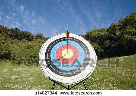 Picture - Arrow in bullseye of target. Fotosearch