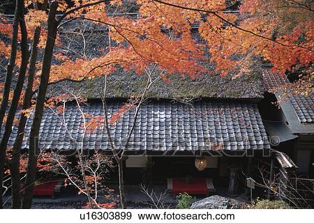 Autumn Leaves And The Tiled Roof Of A Coffee Shop View Large Photo Image Stock Photo - Autumn Leaves And The Tiled Roof Of A Coffee Shop. Fotosearch