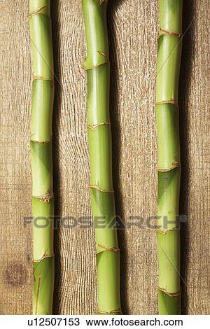 Stock Image - Bamboo Stems. Fotosearch