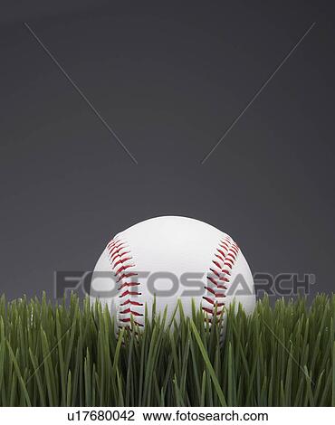 Baseball on Grass View Large Photo Image Stock Image - Baseball on Grass. Fotosearch
