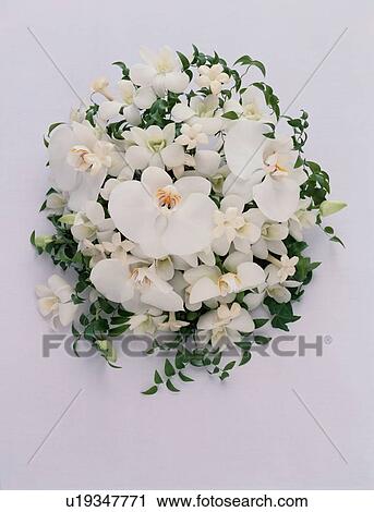 Stock Image - Bunch Of White Flowers. Fotosearch