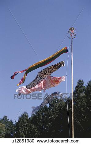 Stock Image - Carp Streamer. Fotosearch