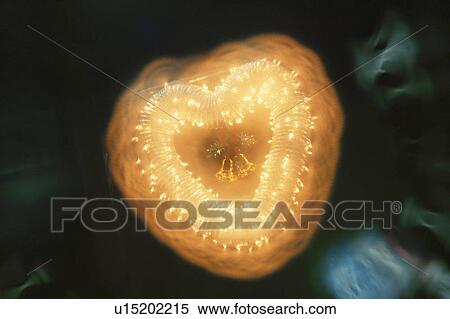 Christmas Illuminations View Large Photo Image Stock Photography - Christmas Illuminations. Fotosearch