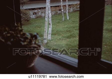 Garden View From Window View Large Photo Image Stock Image - Garden View From Window. Fotosearch