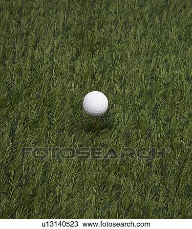 Golf Ball on Grass View Large Photo Image Stock Image - Golf Ball on Grass. Fotosearch