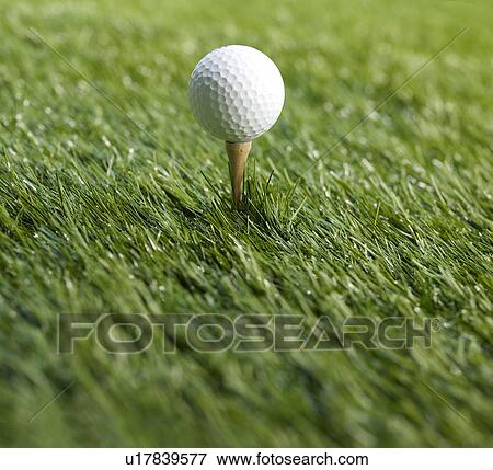 Golf Ball on Tee View Large Photo Image Stock Photo - Golf Ball on Tee. Fotosearch