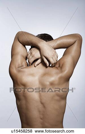 Mid adult man with hands behind head (rear view) View Large Photo Image Stock Photo - Mid adult man with hands behind head (rear view). Fotosearch