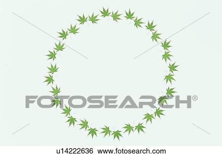 The Round Frame Of A Maple View Large Photo Image Stock Photograph - The Round Frame Of A Maple. Fotosearch