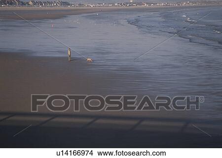 Picture - The Seashore And A Figure. Fotosearch
