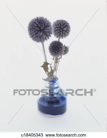 Stock Image - Thistles In Vase. Fotosearch