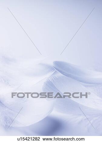 Wings View Large Photo Image Stock Image - Wings. Fotosearch