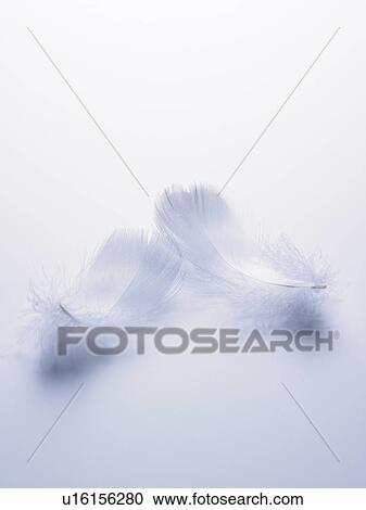 Wings View Large Photo Image Stock Image - Wings. Fotosearch