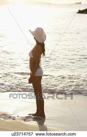 Young woman looking at view on sandy beach, St. John, US Virgin Islands, USA View Large Photo Image Stock Photo - Young woman looking at view on sandy beach, St. John, US Virgin Islands, USA. Fotosearch