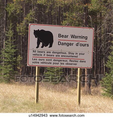 Bear warning sign in Jasper Alberta View Large Photo Image Stock Image - Bear warning sign in Jasper Alberta. Fotosearch