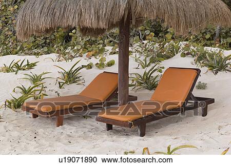 Chaise loung chairs on beach in Tulum Mexico View Large Photo Image Stock Image - Chaise loung chairs on beach in Tulum Mexico. Fotosearch
