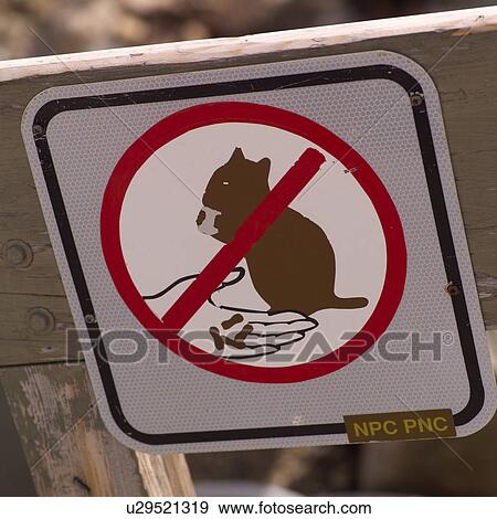 Do Not Feed Animal sign View Large Photo Image Stock Photo - Do Not Feed Animal sign. Fotosearch