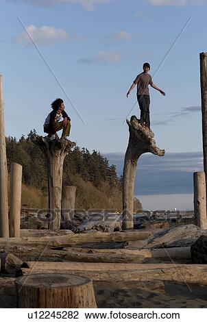 Stock Image - People on top of tree trunks. Fotosearch