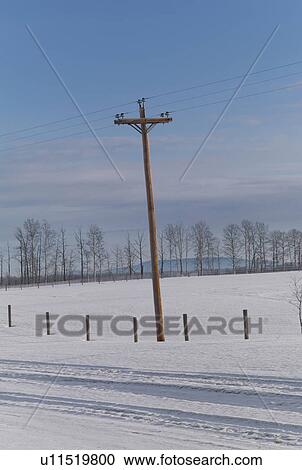 Stock Image - Prairie Snowscape and trees. Fotosearch