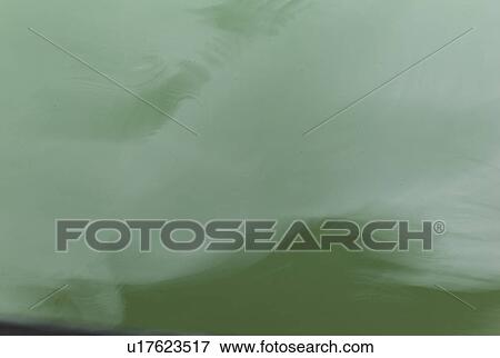 Stock Photo - Reflection of clouds in the water. Fotosearch