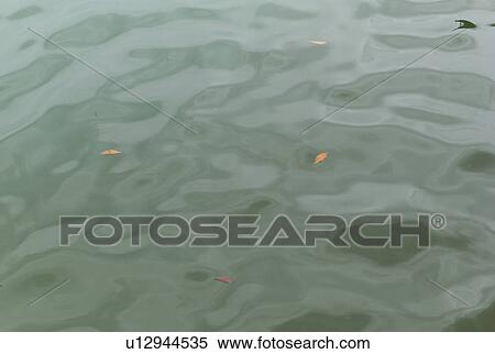 Reflection on water View Large Photo Image Stock Photography - Reflection on water. Fotosearch