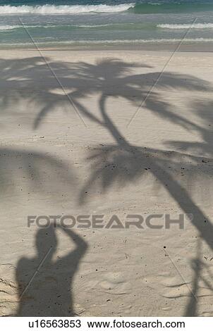 Shadow on beach in Tulum Mexico View Large Photo Image Stock Image - Shadow on beach in Tulum Mexico. Fotosearch